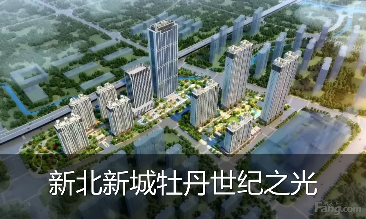 新北新城牡丹世纪之光
