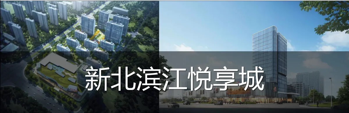 新北滨江悦享城